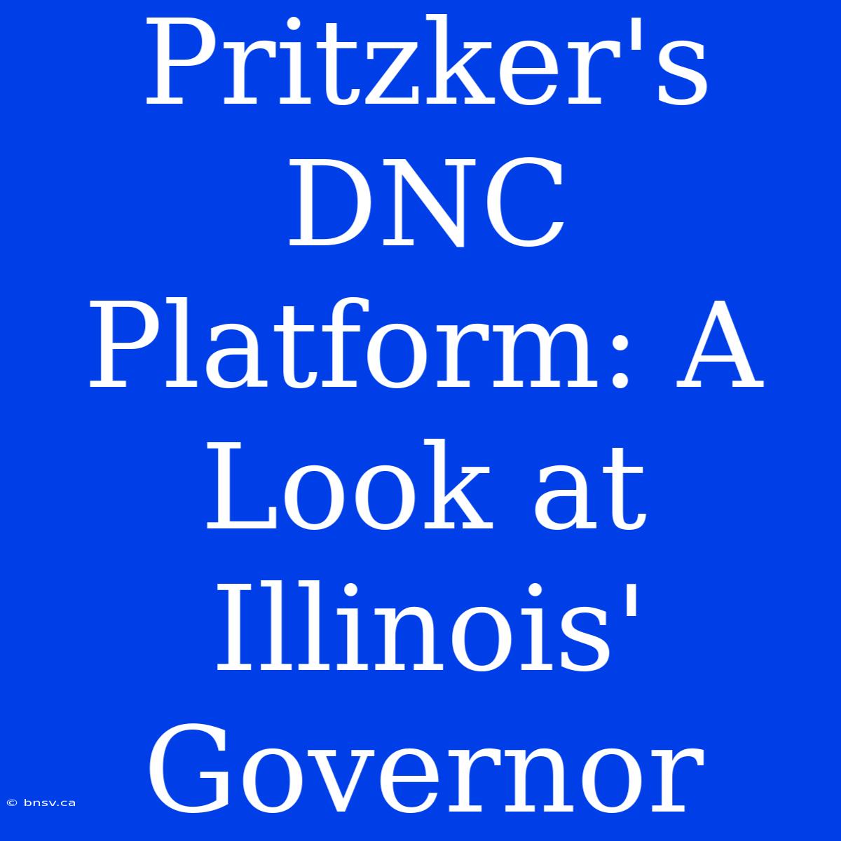 Pritzker's DNC Platform: A Look At Illinois' Governor