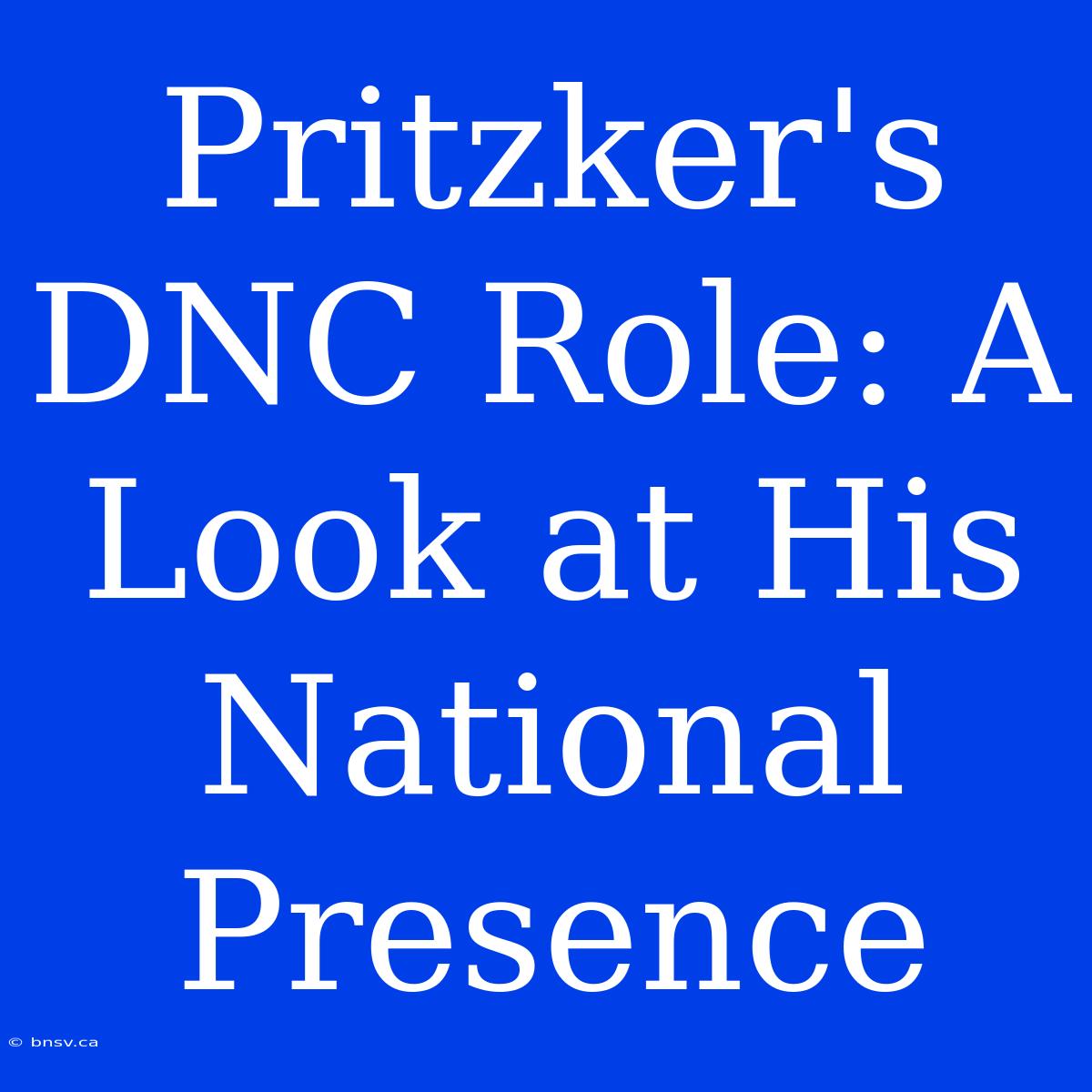 Pritzker's DNC Role: A Look At His National Presence