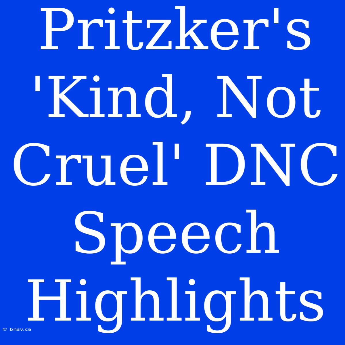 Pritzker's 'Kind, Not Cruel' DNC Speech Highlights