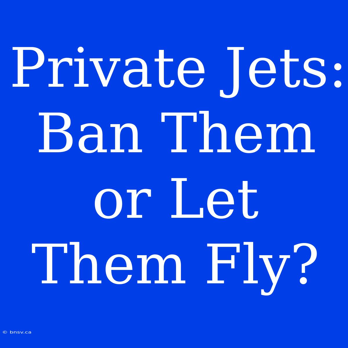 Private Jets: Ban Them Or Let Them Fly?