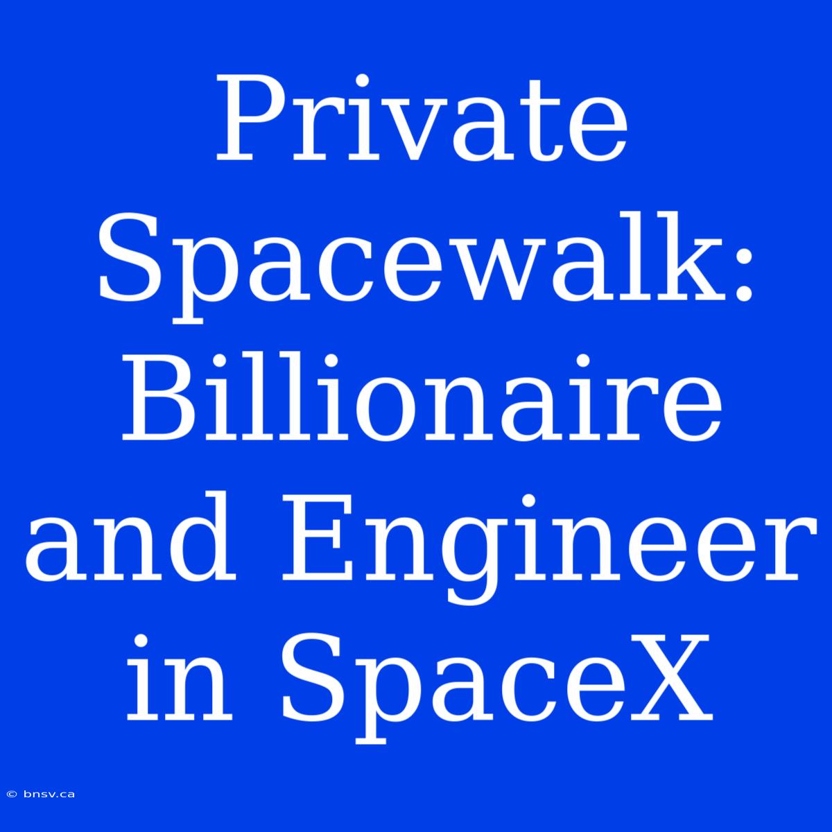 Private Spacewalk: Billionaire And Engineer In SpaceX