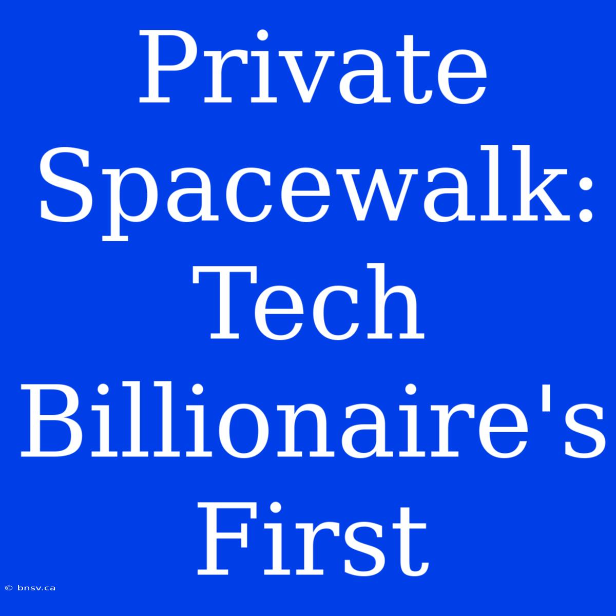 Private Spacewalk: Tech Billionaire's First