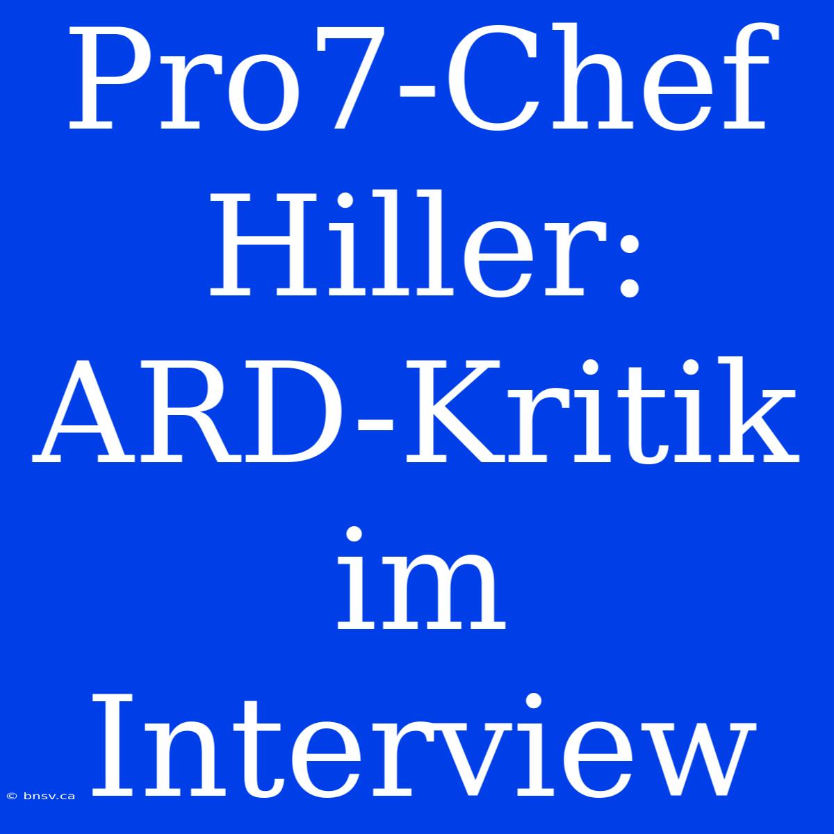 Pro7-Chef Hiller: ARD-Kritik Im Interview