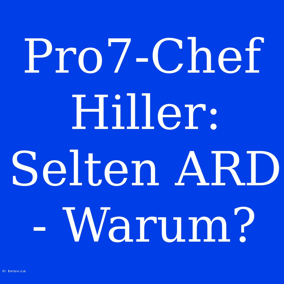 Pro7-Chef Hiller: Selten ARD - Warum?