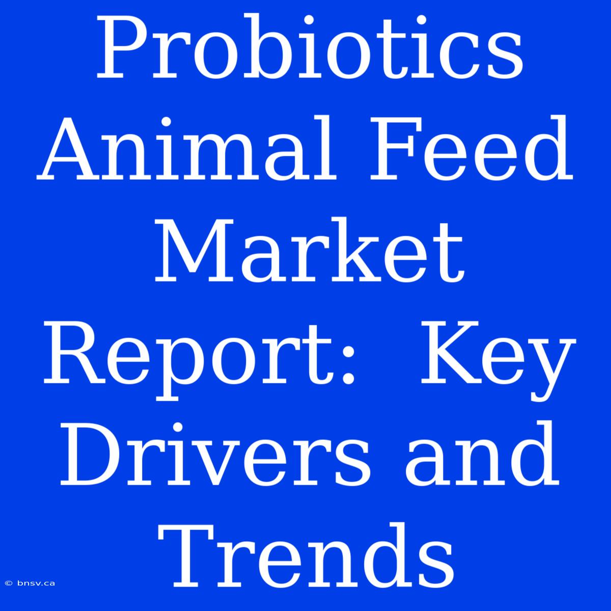 Probiotics Animal Feed Market Report:  Key Drivers And Trends