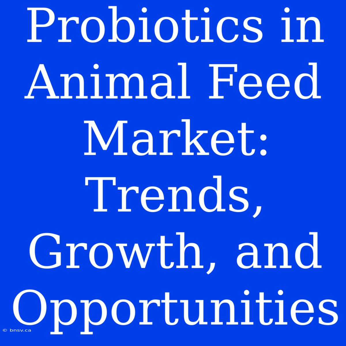 Probiotics In Animal Feed Market: Trends, Growth, And Opportunities