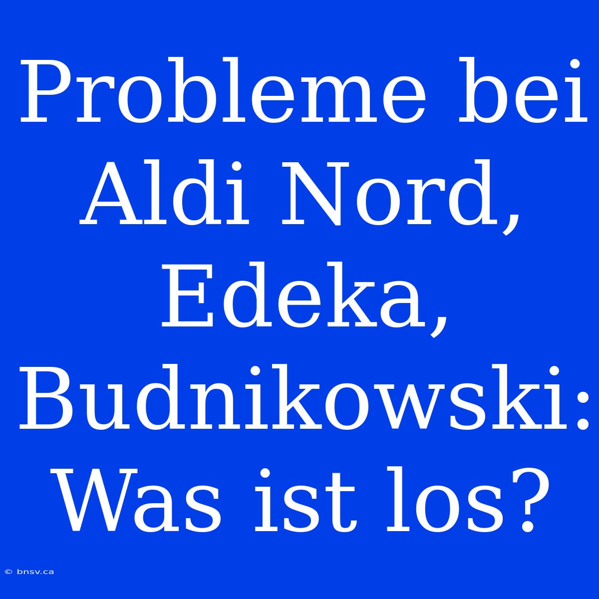 Probleme Bei Aldi Nord, Edeka, Budnikowski: Was Ist Los?