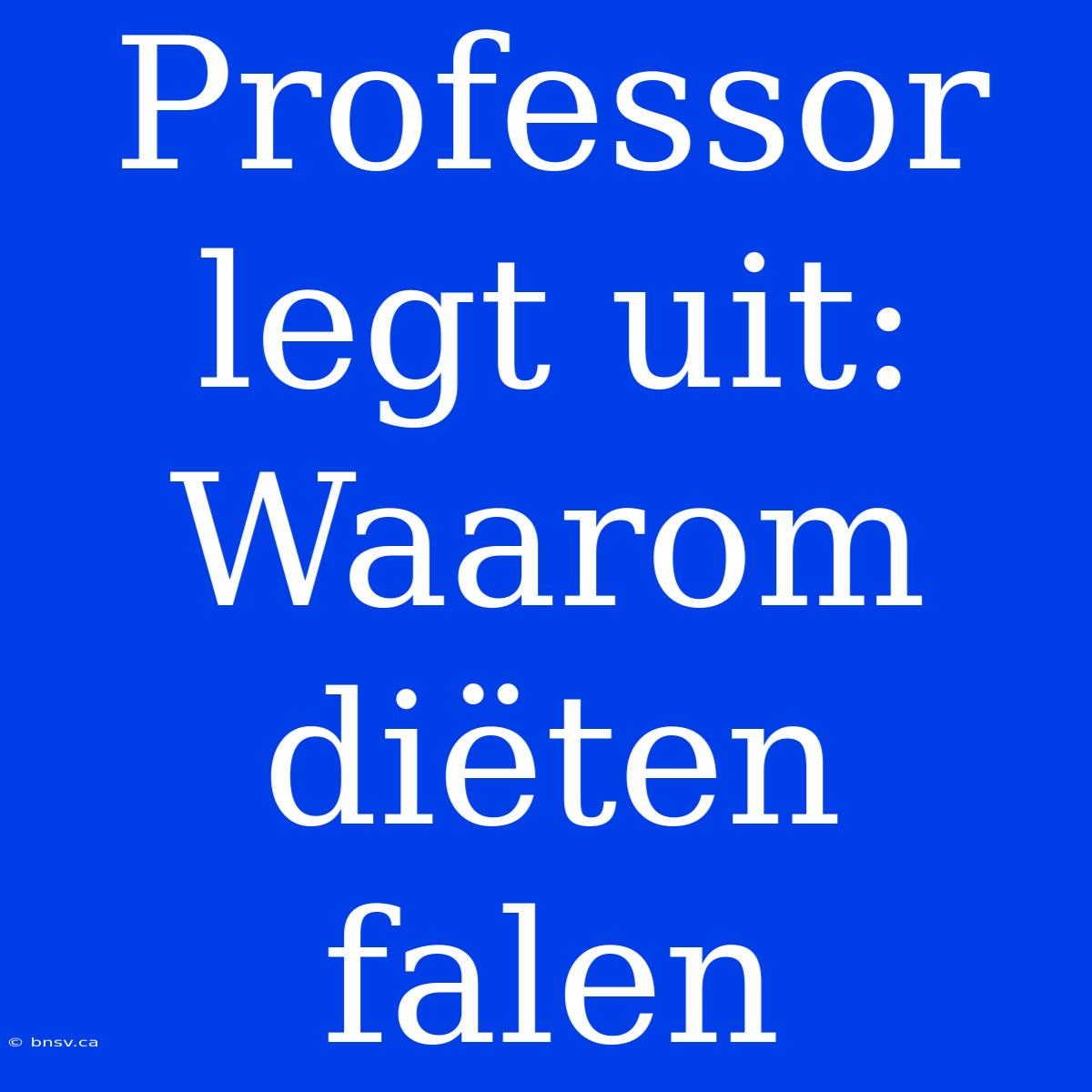 Professor Legt Uit: Waarom Diëten Falen