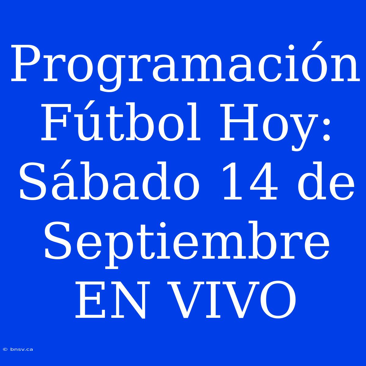 Programación Fútbol Hoy: Sábado 14 De Septiembre EN VIVO