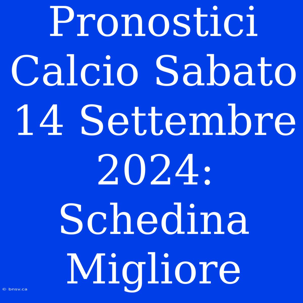 Pronostici Calcio Sabato 14 Settembre 2024: Schedina Migliore