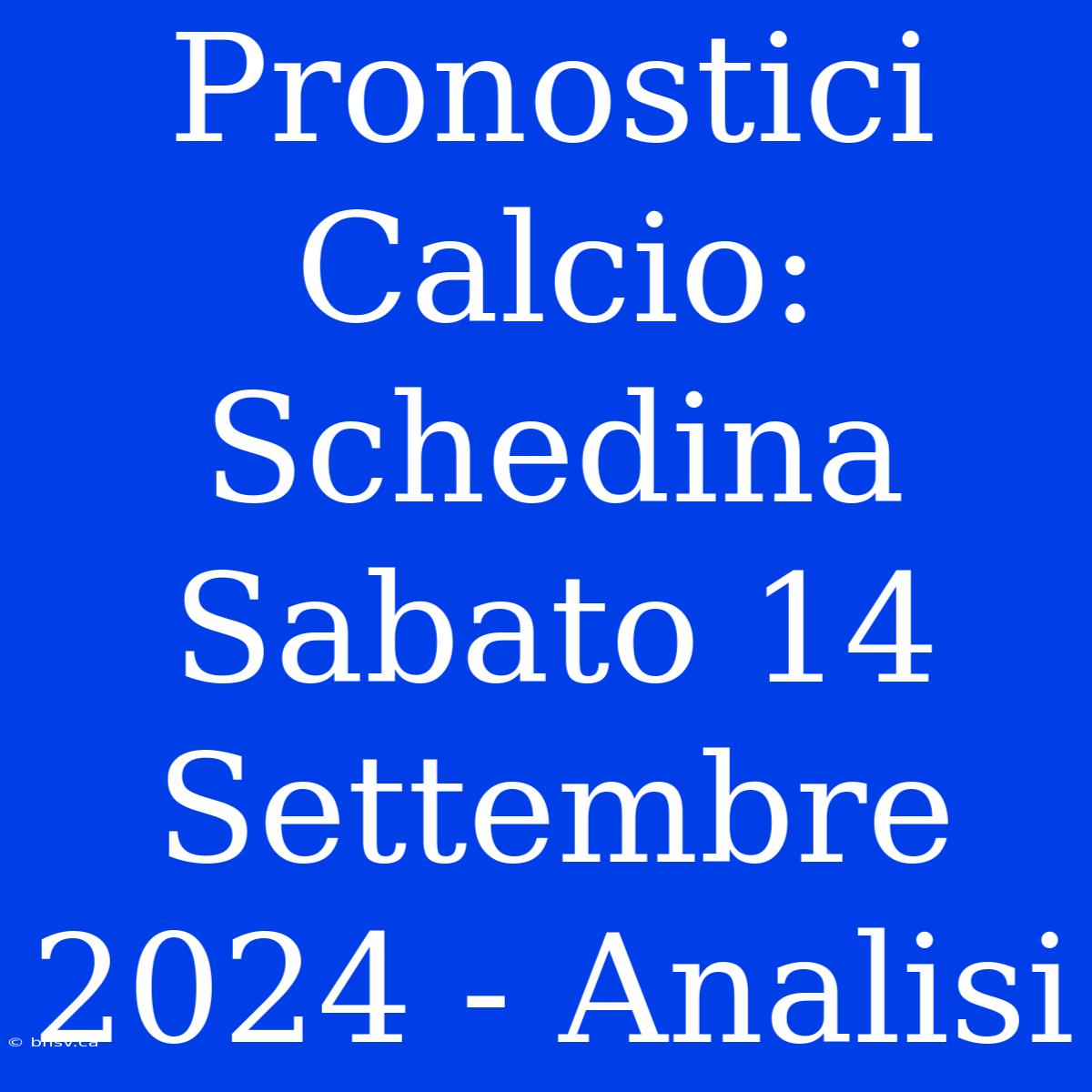 Pronostici Calcio: Schedina Sabato 14 Settembre 2024 - Analisi