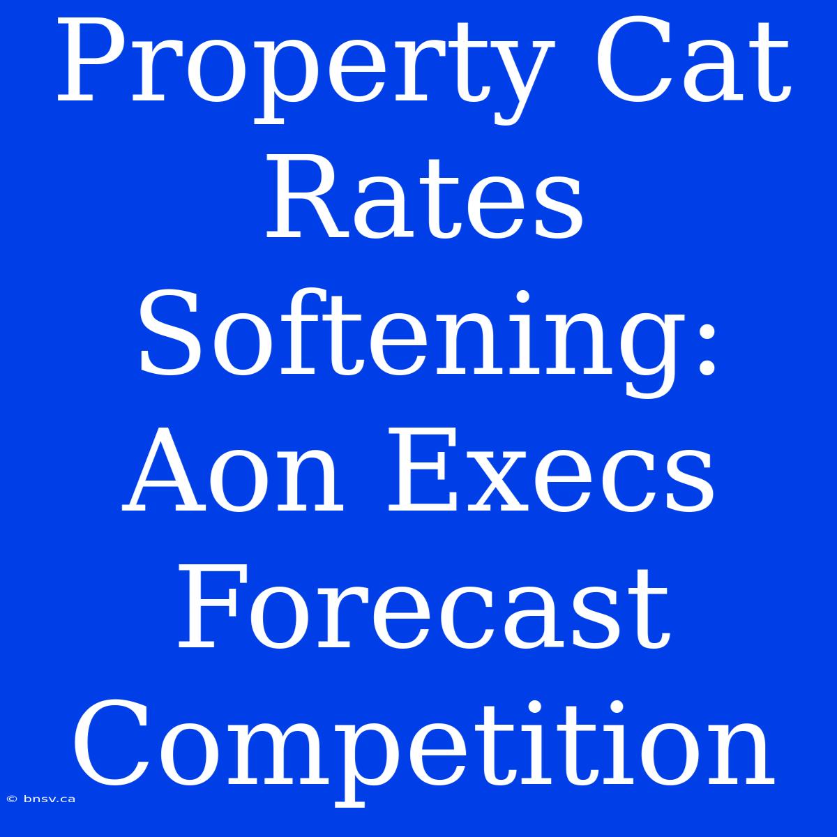 Property Cat Rates Softening: Aon Execs Forecast Competition