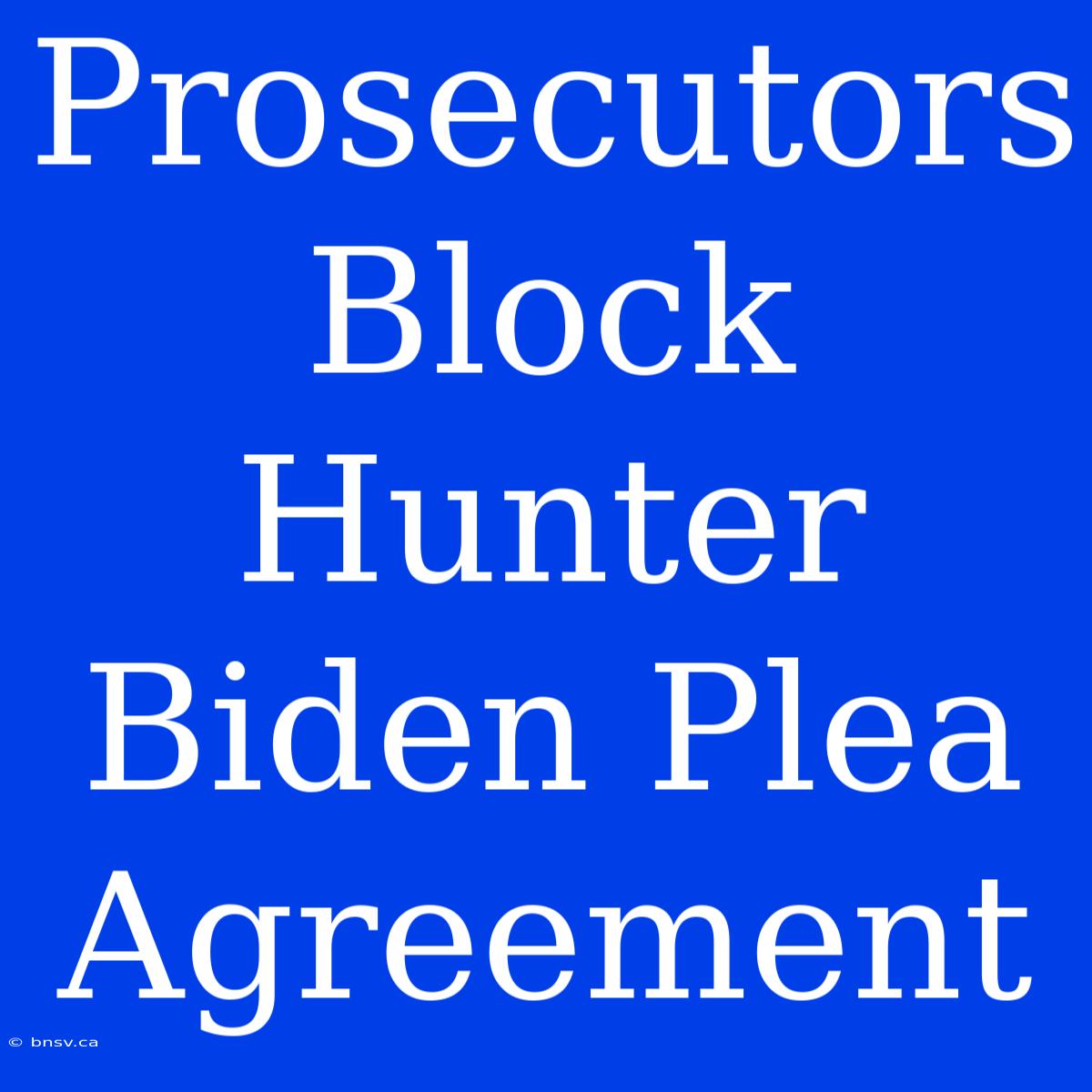 Prosecutors Block Hunter Biden Plea Agreement