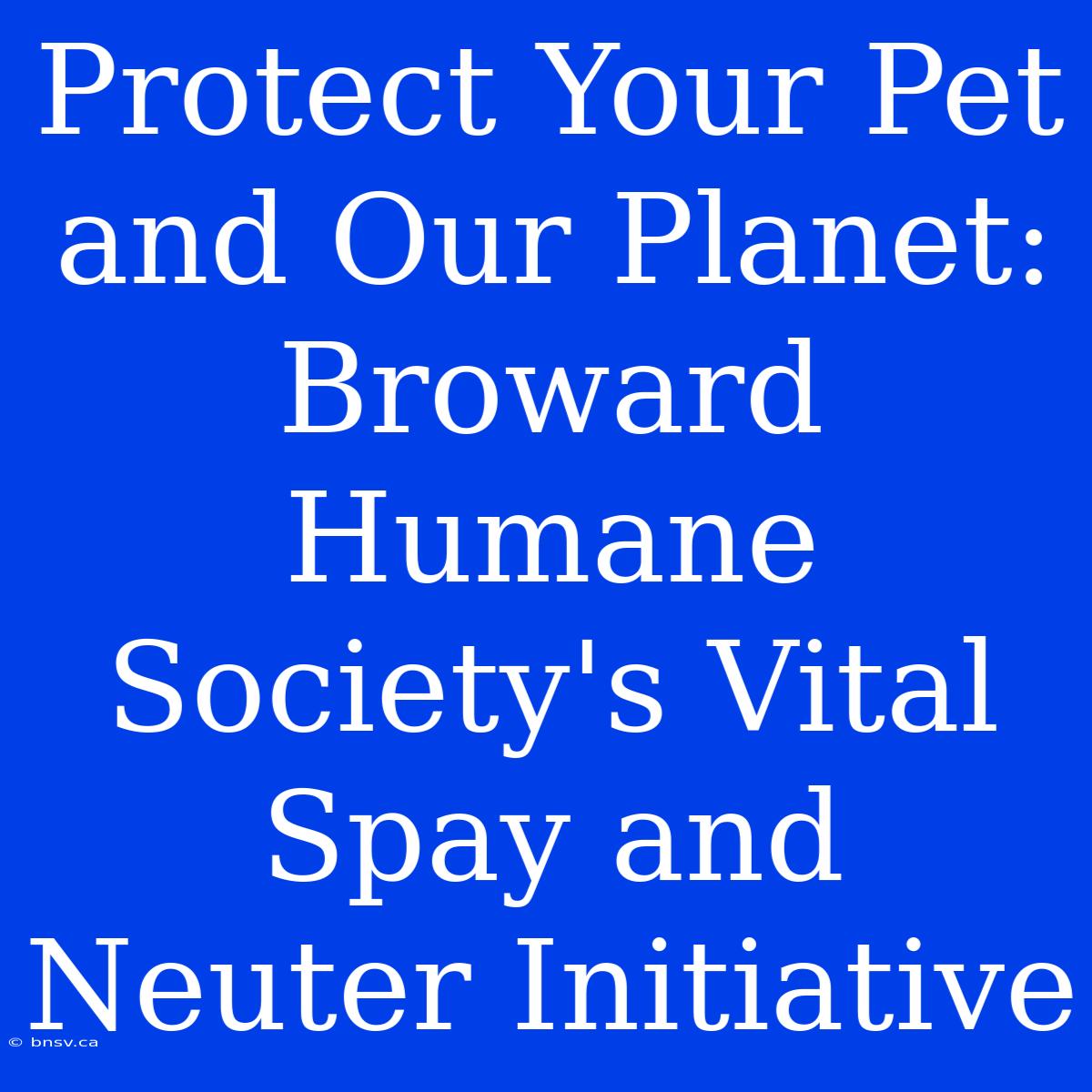 Protect Your Pet And Our Planet: Broward Humane Society's Vital Spay And Neuter Initiative