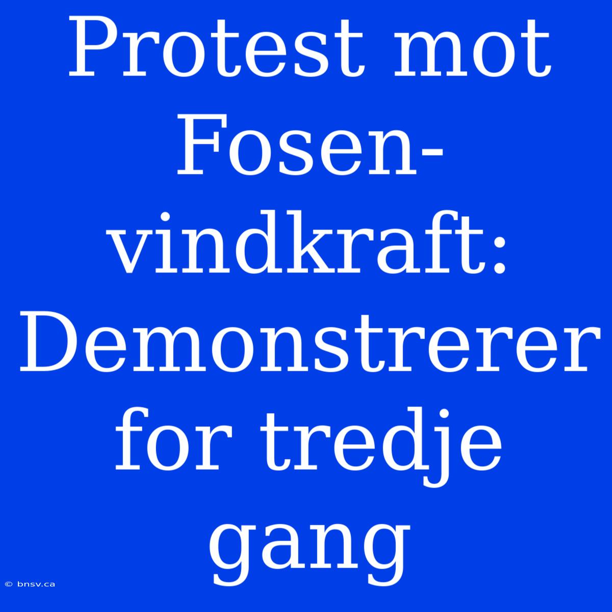 Protest Mot Fosen-vindkraft: Demonstrerer For Tredje Gang