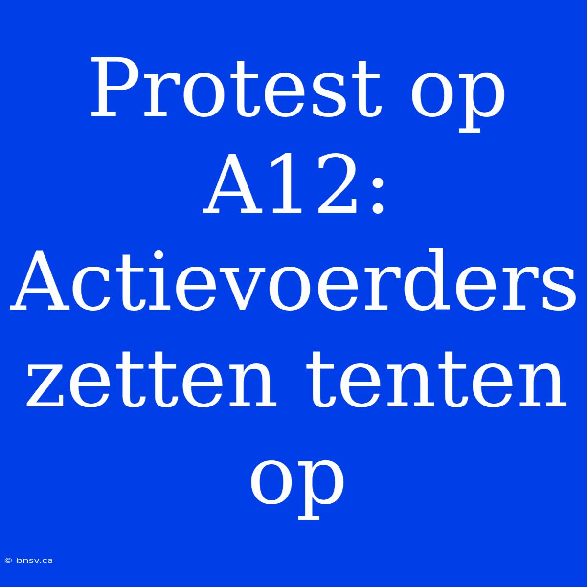 Protest Op A12: Actievoerders Zetten Tenten Op