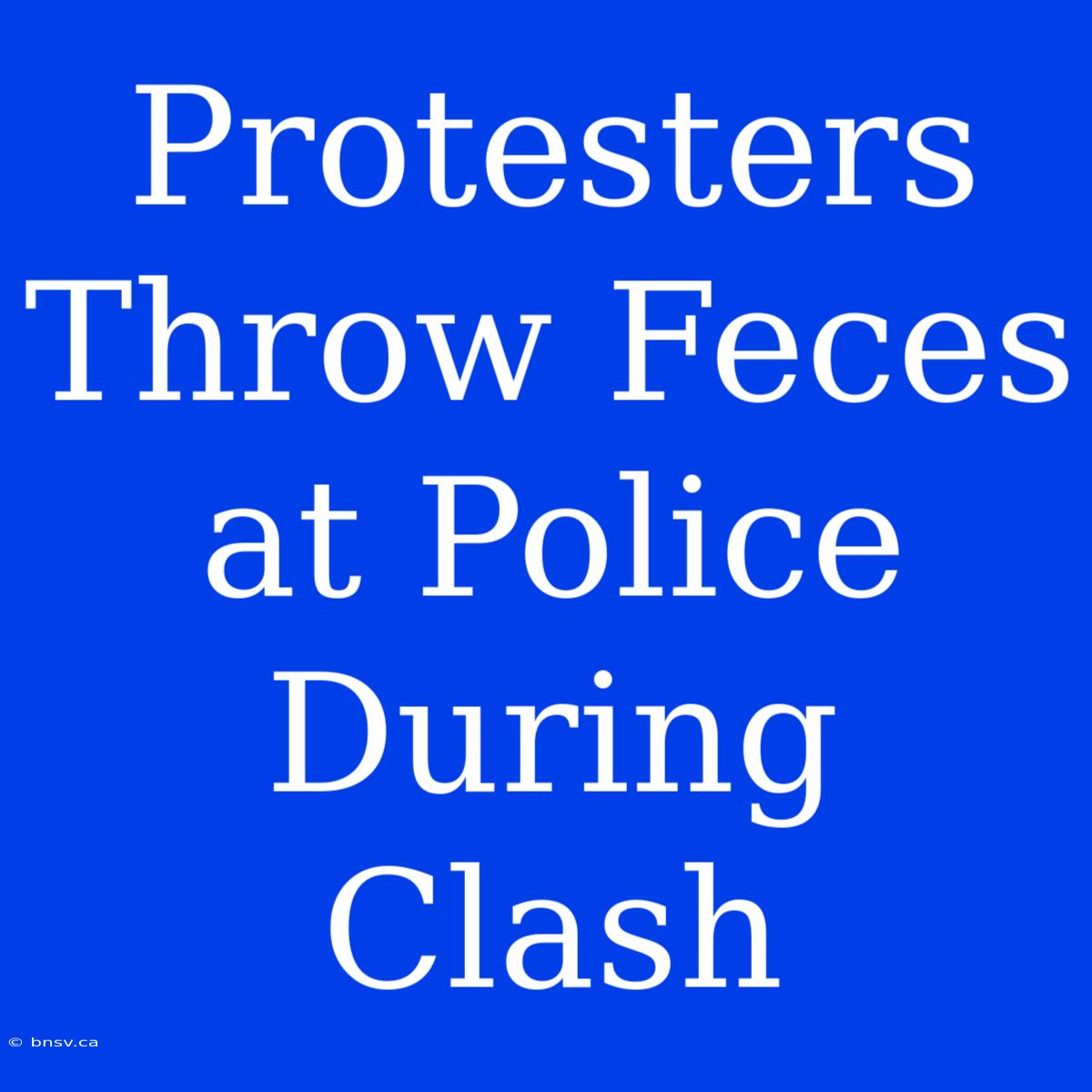 Protesters Throw Feces At Police During Clash