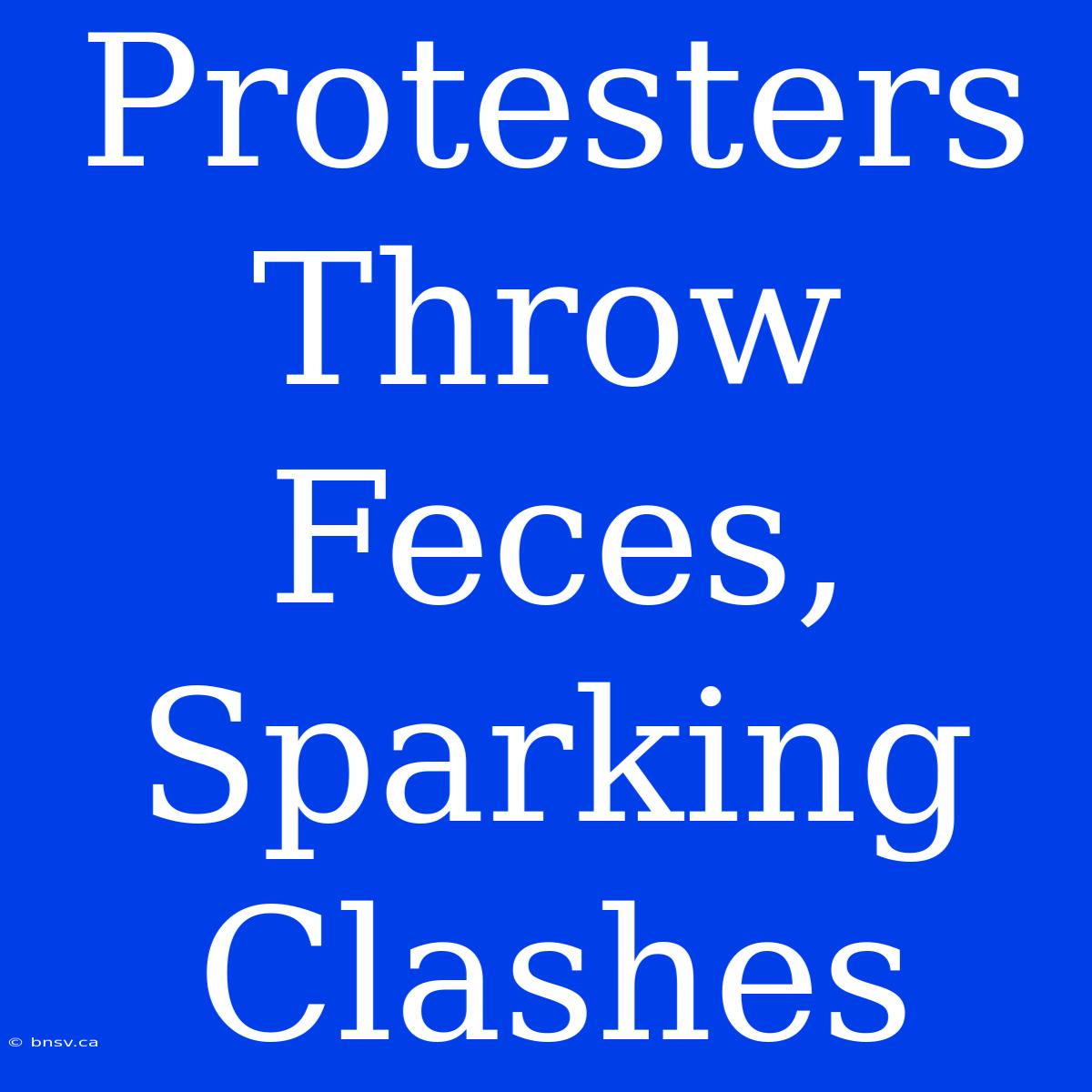 Protesters Throw Feces, Sparking Clashes