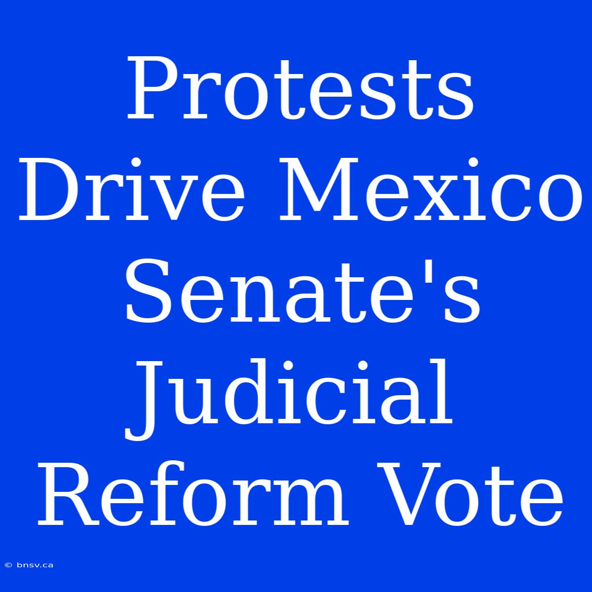 Protests Drive Mexico Senate's Judicial Reform Vote