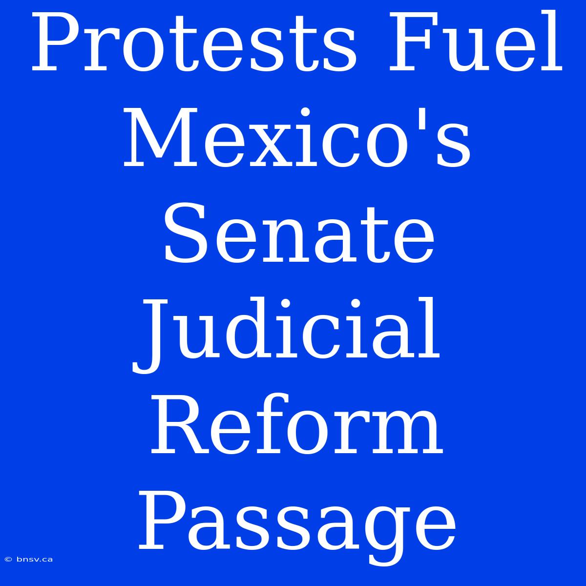 Protests Fuel Mexico's Senate Judicial Reform Passage