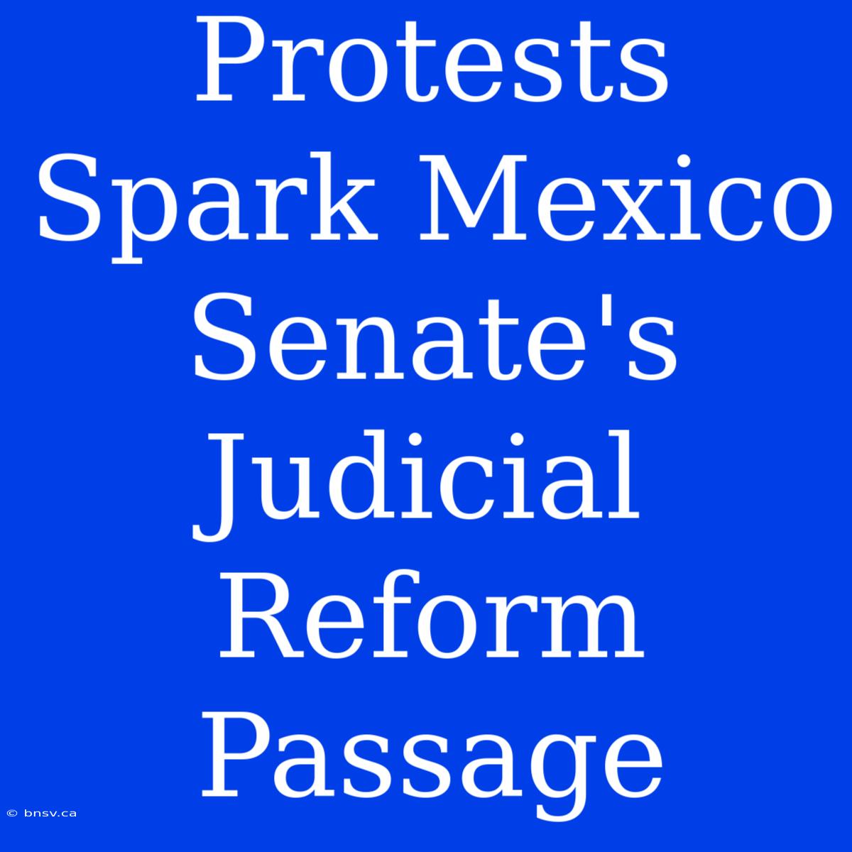 Protests Spark Mexico Senate's Judicial Reform Passage