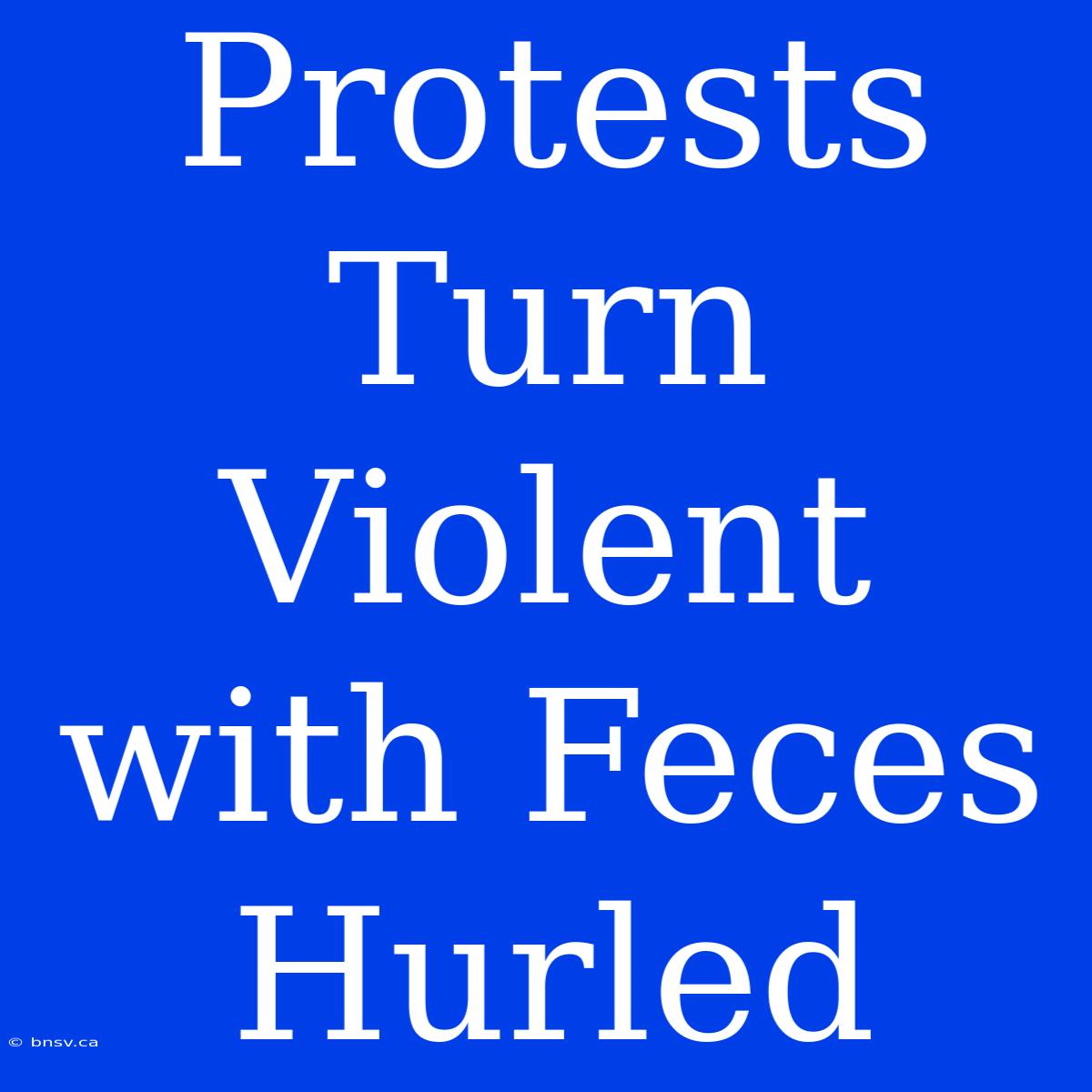 Protests Turn Violent With Feces Hurled