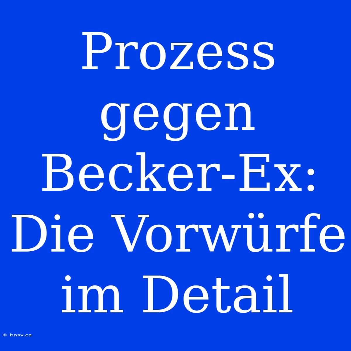 Prozess Gegen Becker-Ex: Die Vorwürfe Im Detail