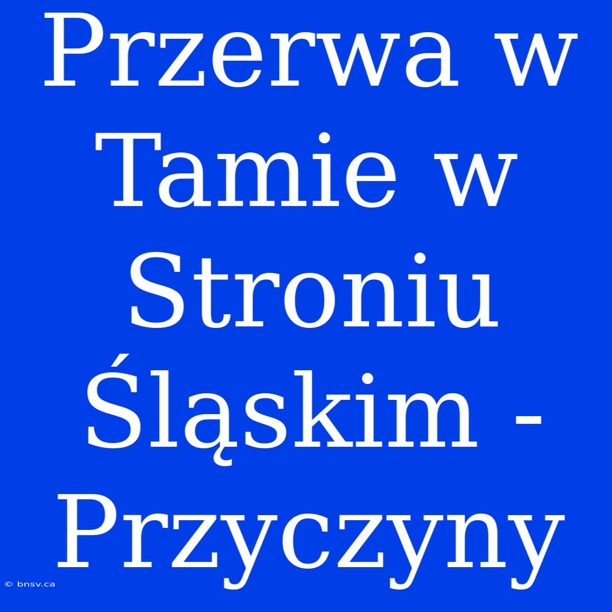 Przerwa W Tamie W Stroniu Śląskim - Przyczyny