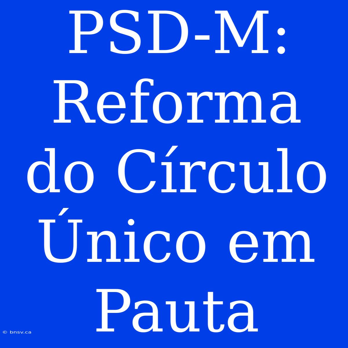 PSD-M: Reforma Do Círculo Único Em Pauta