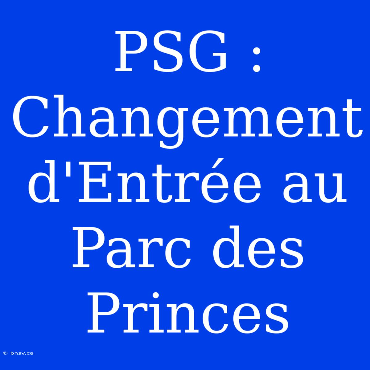 PSG : Changement D'Entrée Au Parc Des Princes