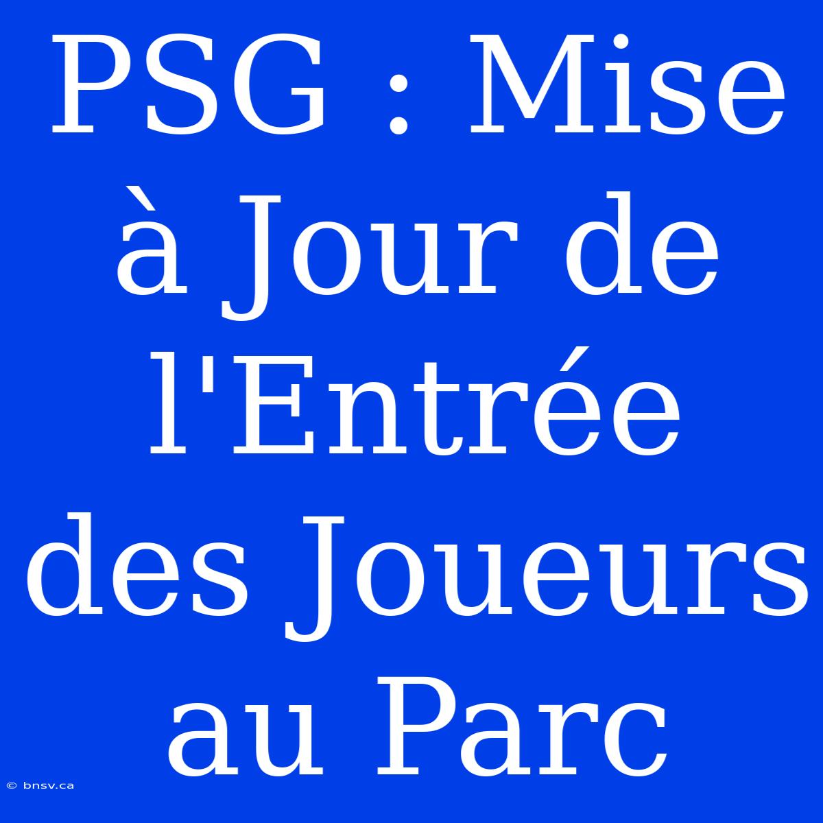 PSG : Mise À Jour De L'Entrée Des Joueurs Au Parc