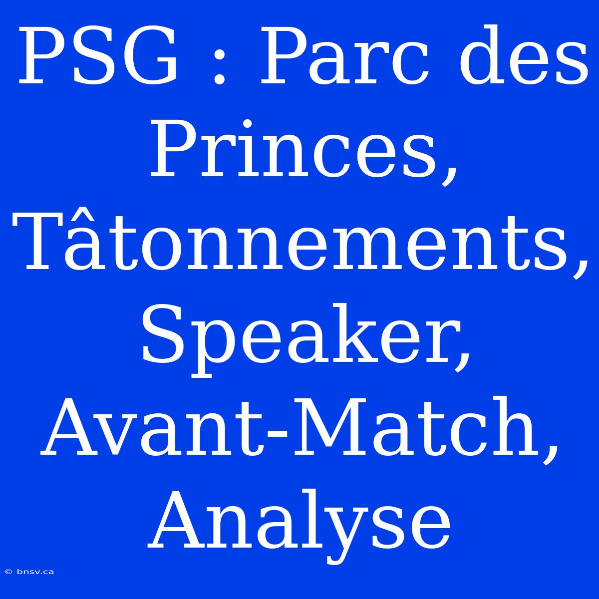 PSG : Parc Des Princes, Tâtonnements, Speaker, Avant-Match, Analyse