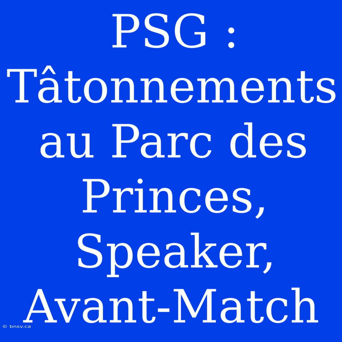 PSG : Tâtonnements Au Parc Des Princes, Speaker, Avant-Match