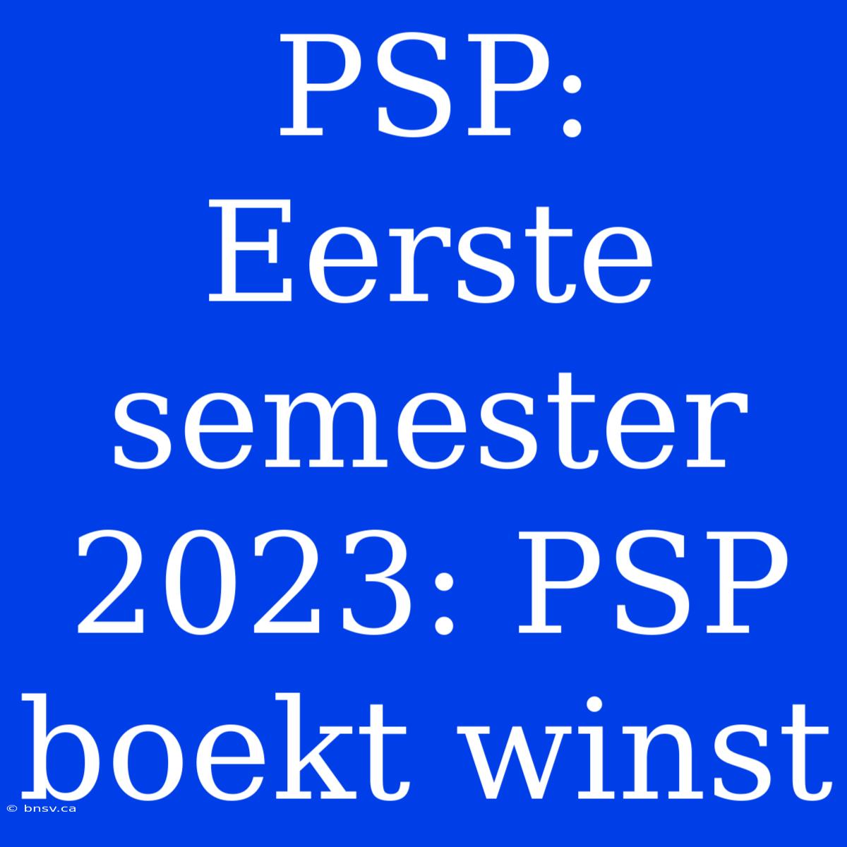 PSP: Eerste Semester 2023: PSP Boekt Winst