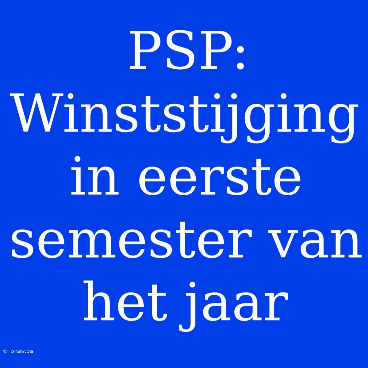 PSP: Winststijging In Eerste Semester Van Het Jaar