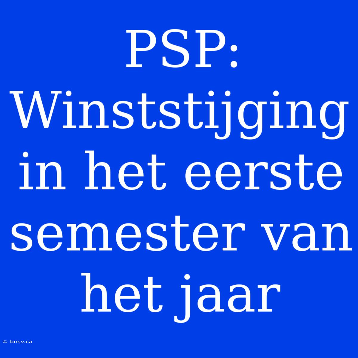 PSP: Winststijging In Het Eerste Semester Van Het Jaar