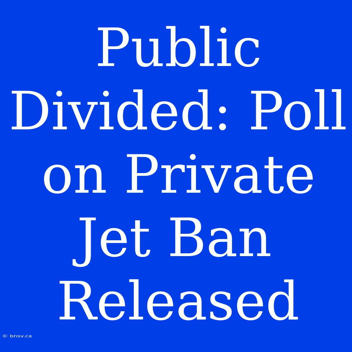 Public Divided: Poll On Private Jet Ban Released