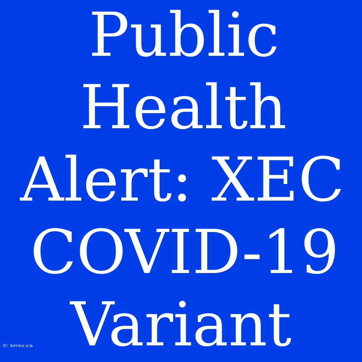 Public Health Alert: XEC COVID-19 Variant