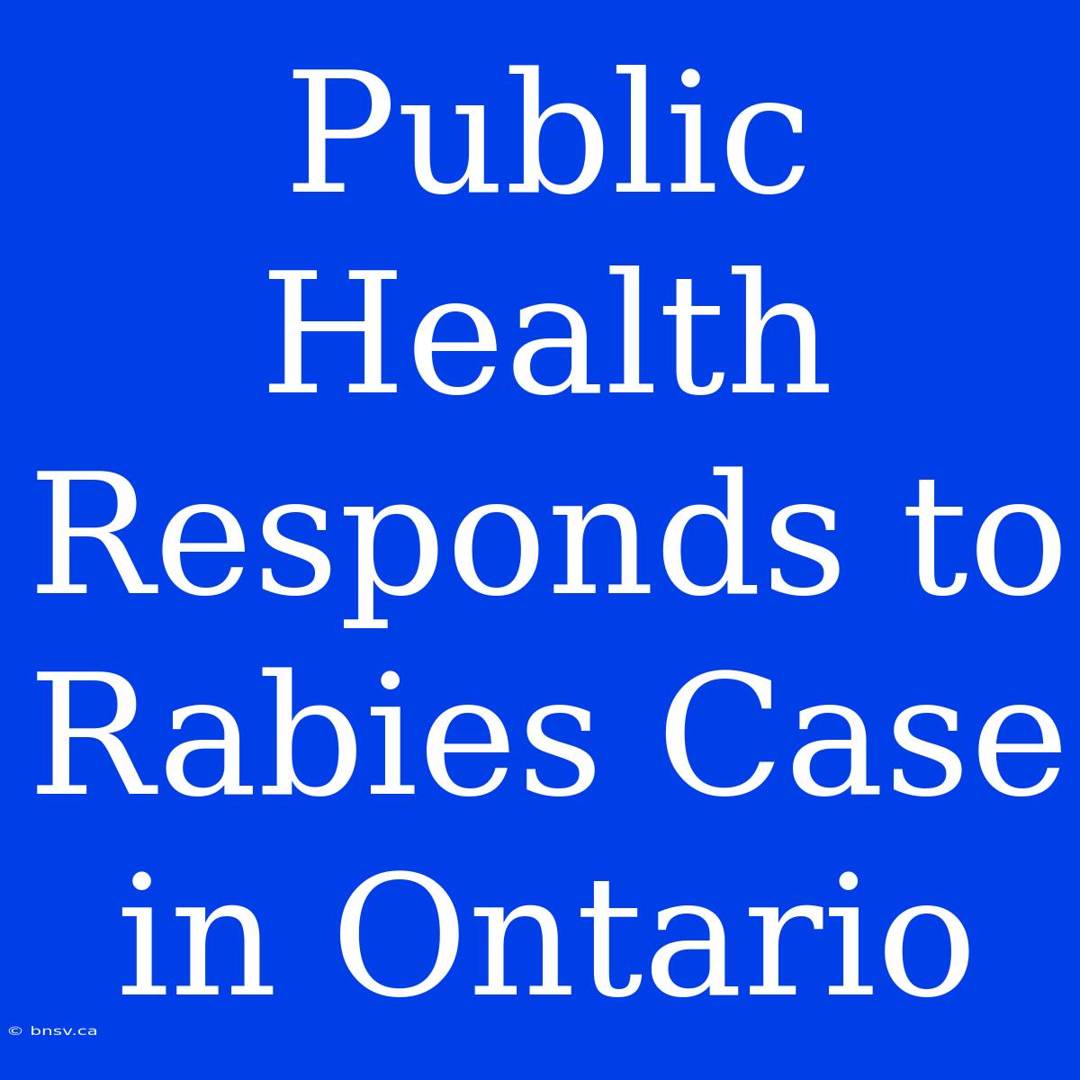 Public Health Responds To Rabies Case In Ontario