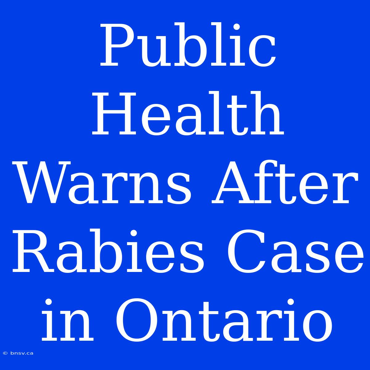 Public Health Warns After Rabies Case In Ontario