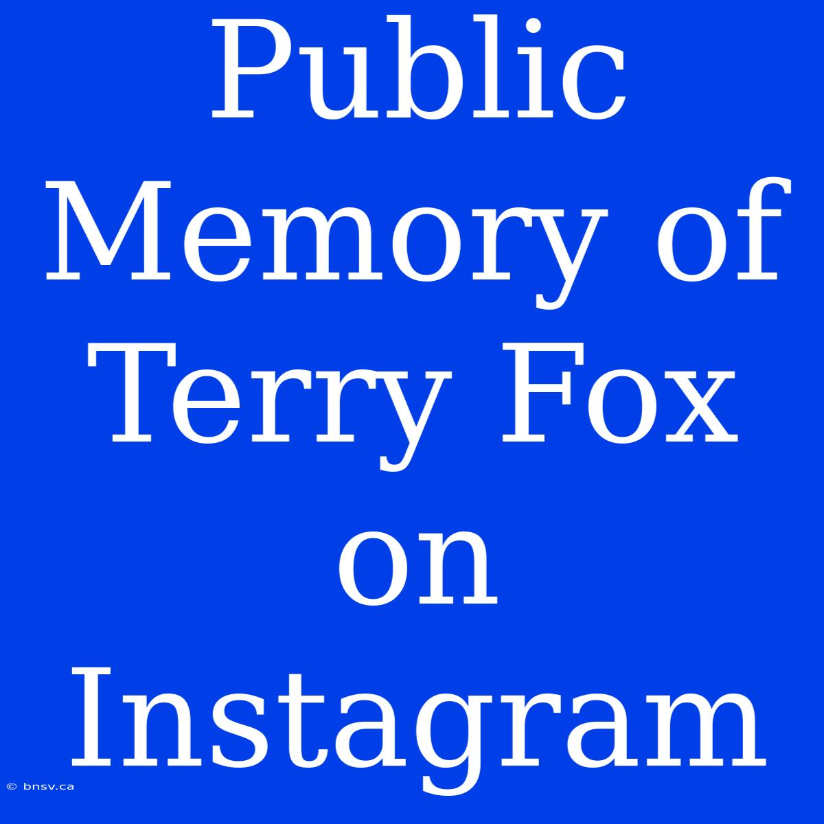 Public Memory Of Terry Fox On Instagram