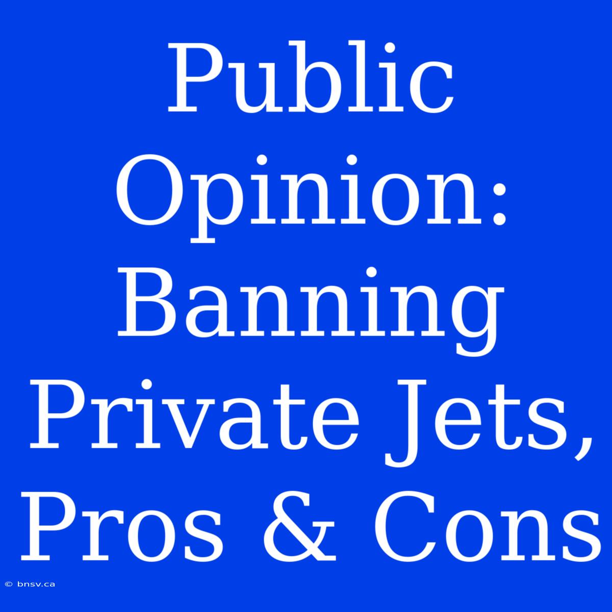 Public Opinion: Banning Private Jets, Pros & Cons