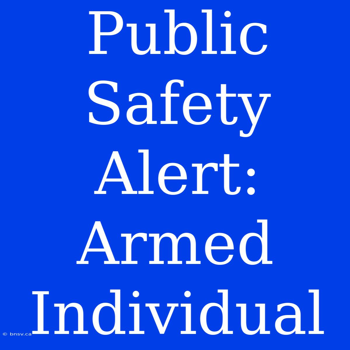 Public Safety Alert: Armed Individual