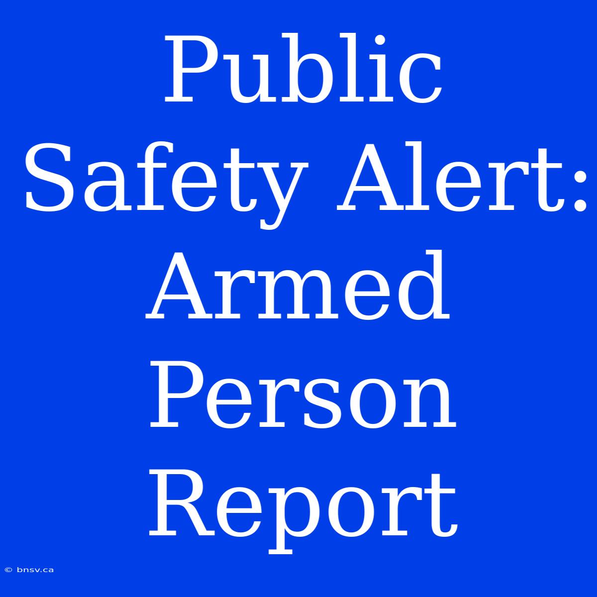 Public Safety Alert: Armed Person Report