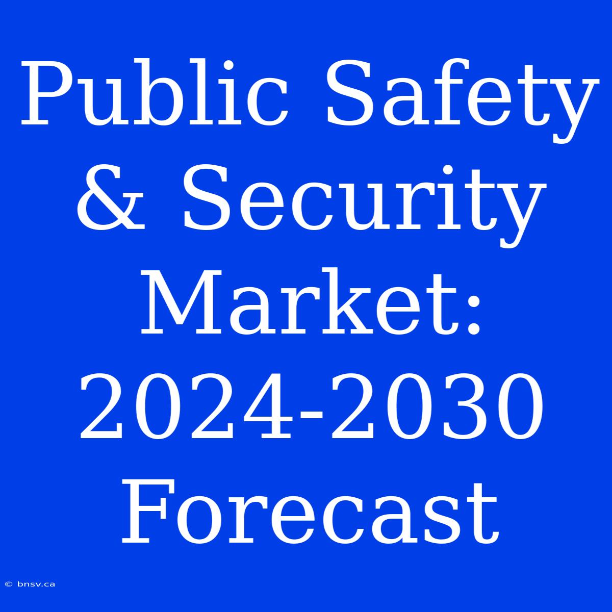 Public Safety & Security Market: 2024-2030 Forecast