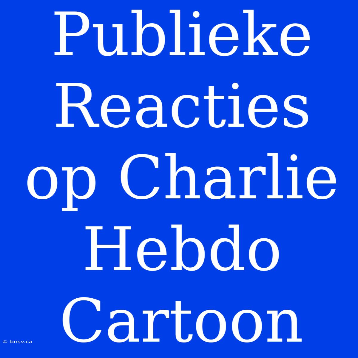 Publieke Reacties Op Charlie Hebdo Cartoon