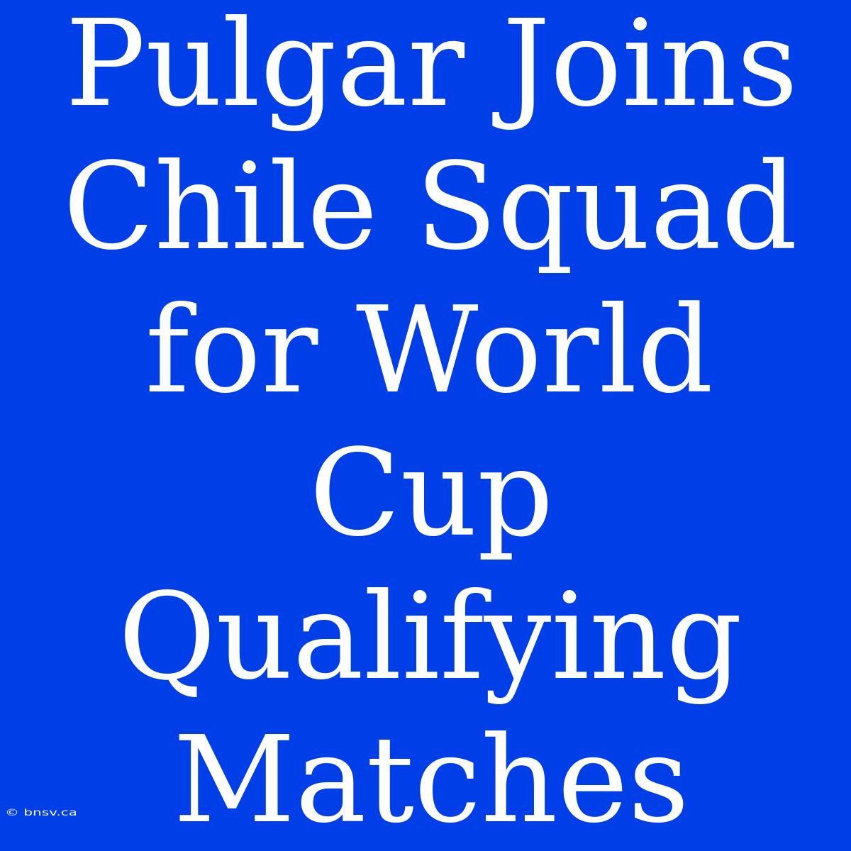 Pulgar Joins Chile Squad For World Cup Qualifying Matches