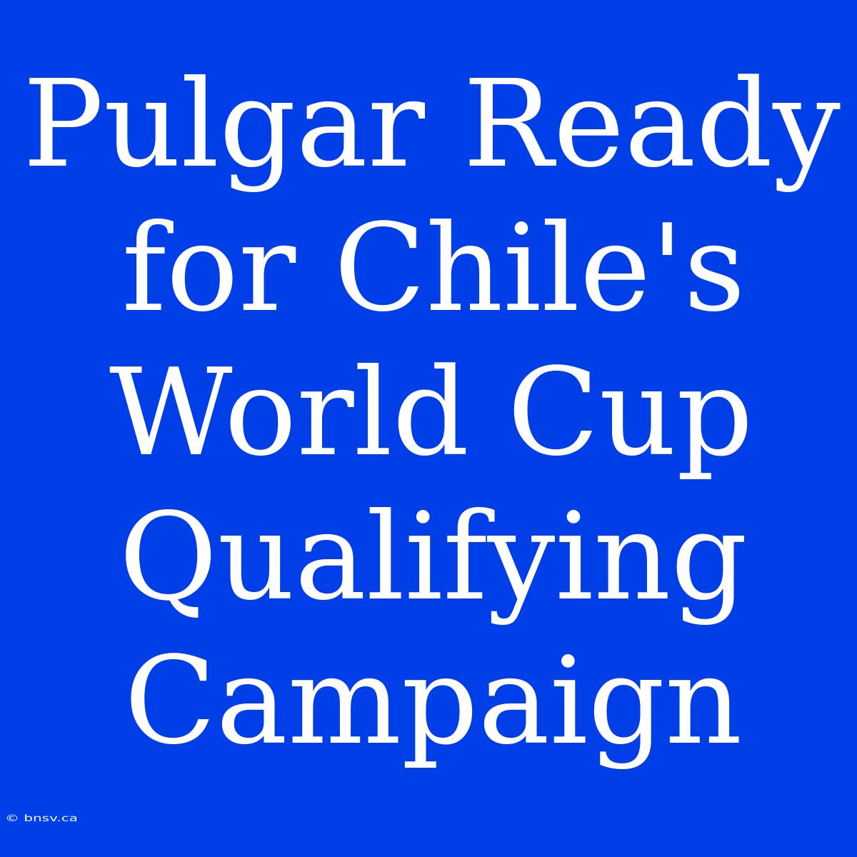 Pulgar Ready For Chile's World Cup Qualifying Campaign