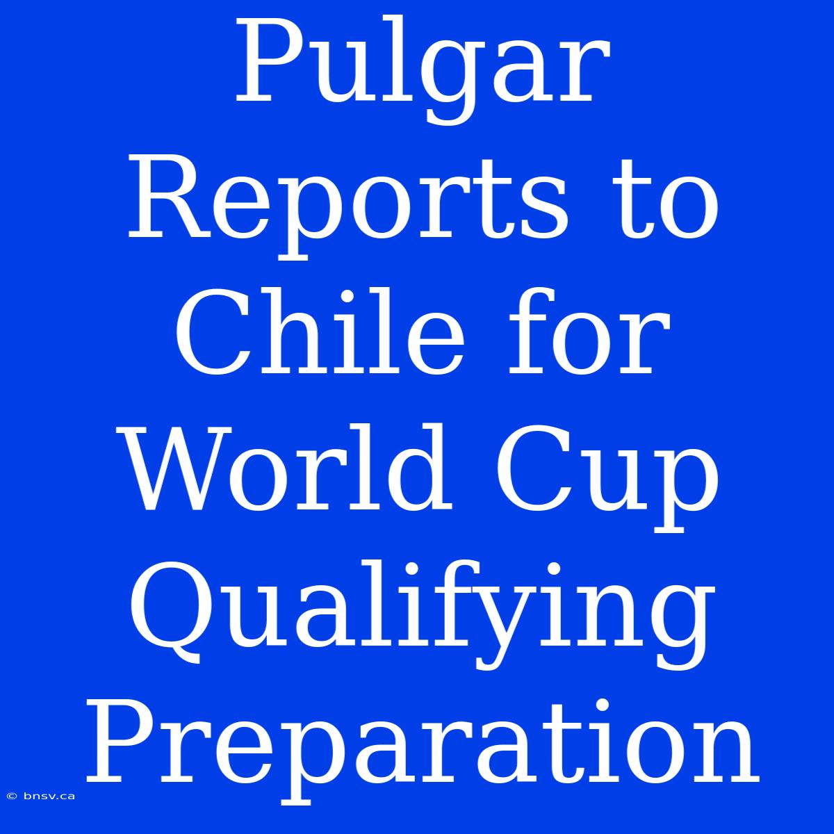 Pulgar Reports To Chile For World Cup Qualifying Preparation