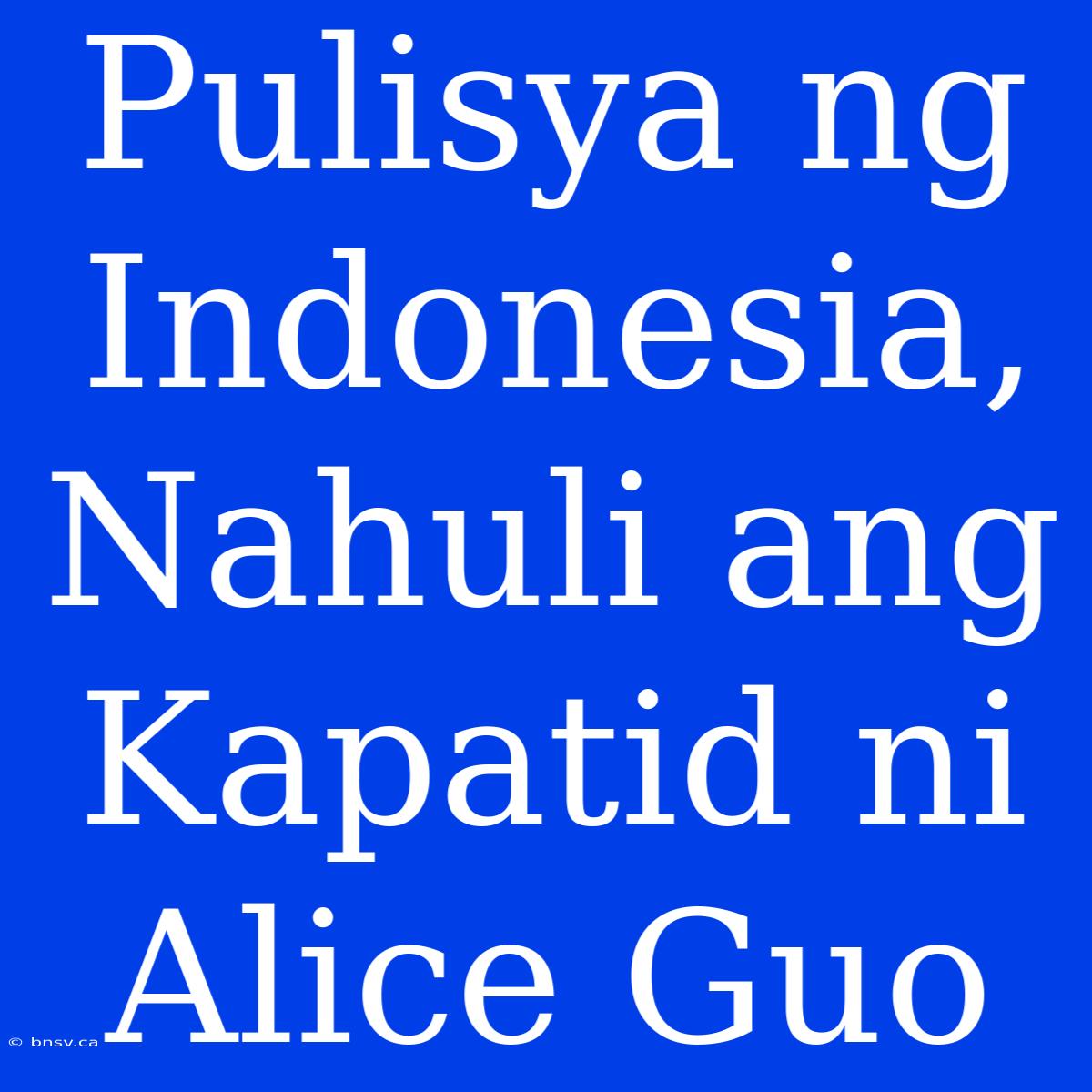 Pulisya Ng Indonesia, Nahuli Ang Kapatid Ni Alice Guo